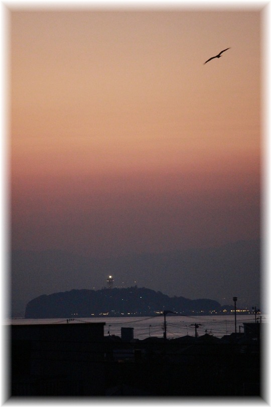 1aykogIMG_2633