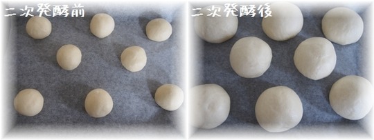 1aaykogP1013434