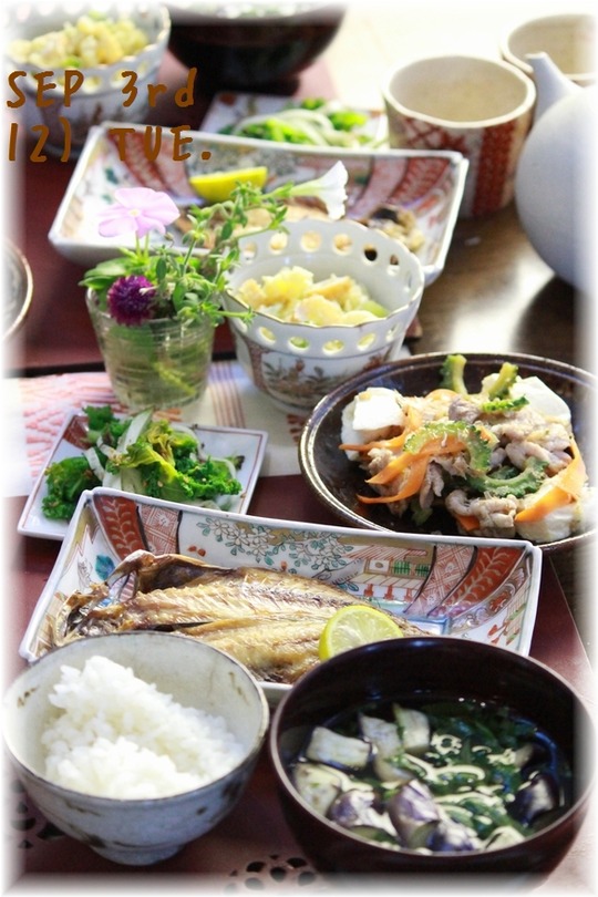 1aykogIMG_9453