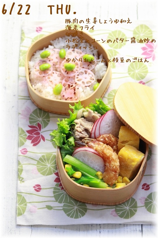 1aykogIMG_6500