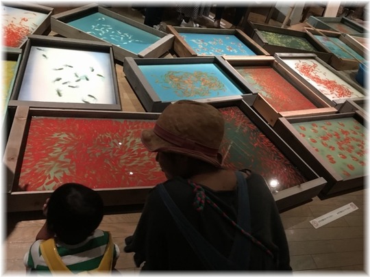 金魚YHF1