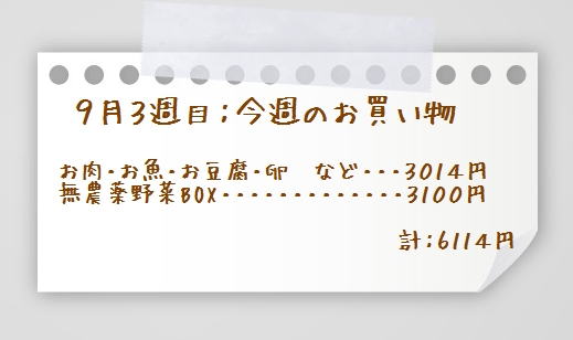 1aaaykogpaper01
