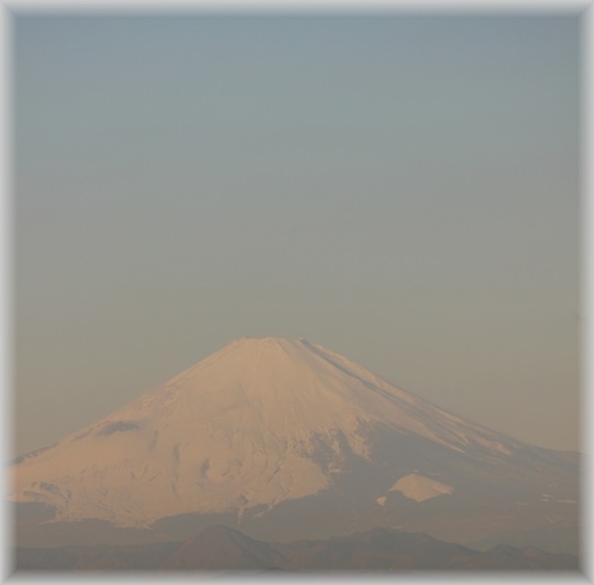 1aykogIMG_6503