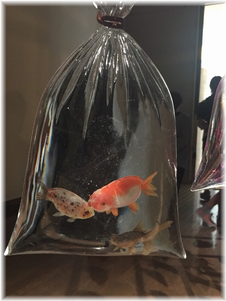 金魚YHF7