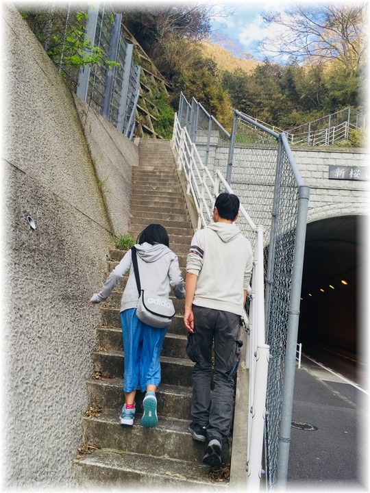 散歩1