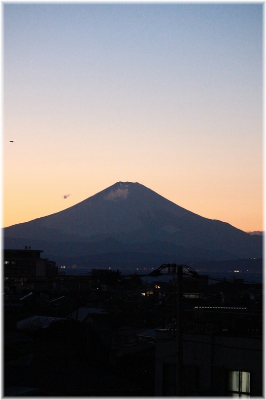 1aykogIMG_5460
