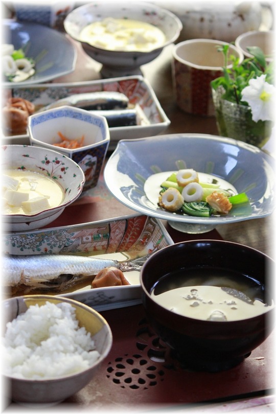 1aykogIMG_5386
