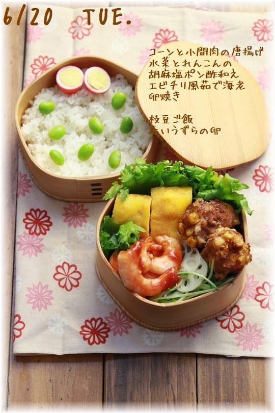 1aykogIMG_6629