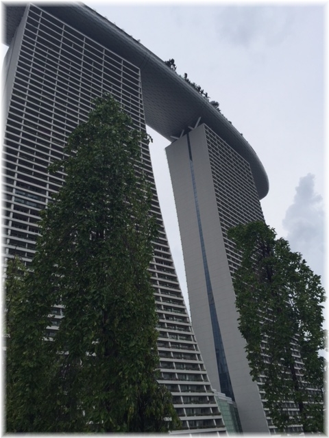 1aykogIMG_3526