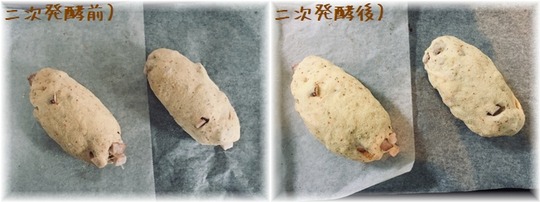 IMG-1799