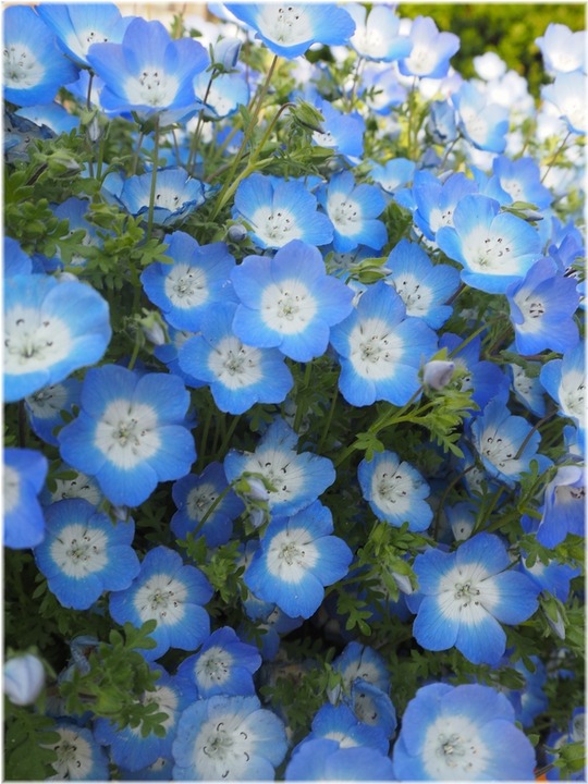 P1012483