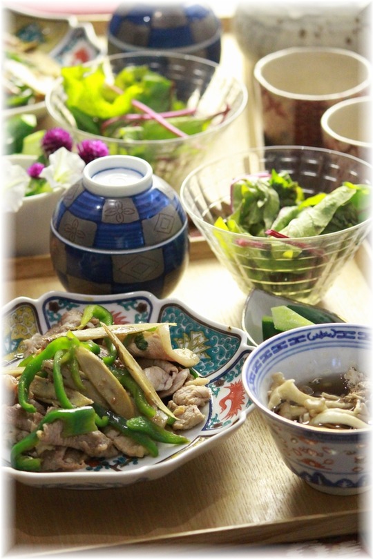 1aykogIMG_2323