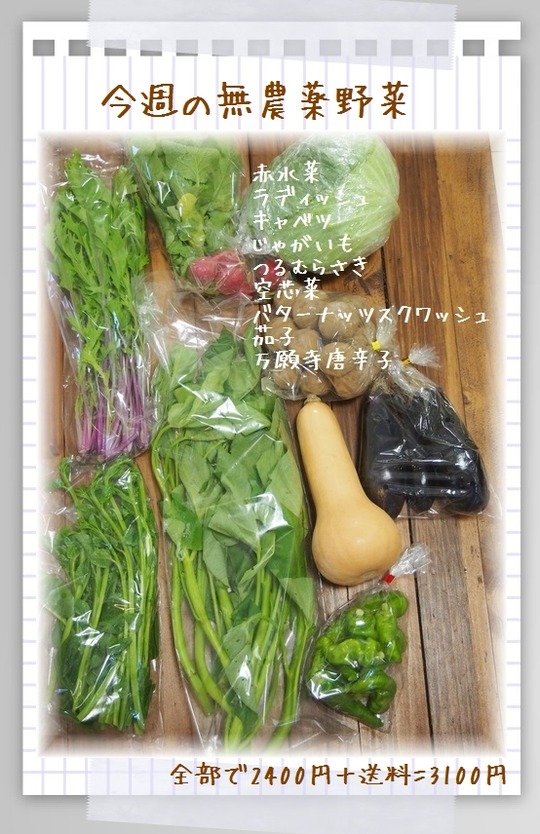 paper010930