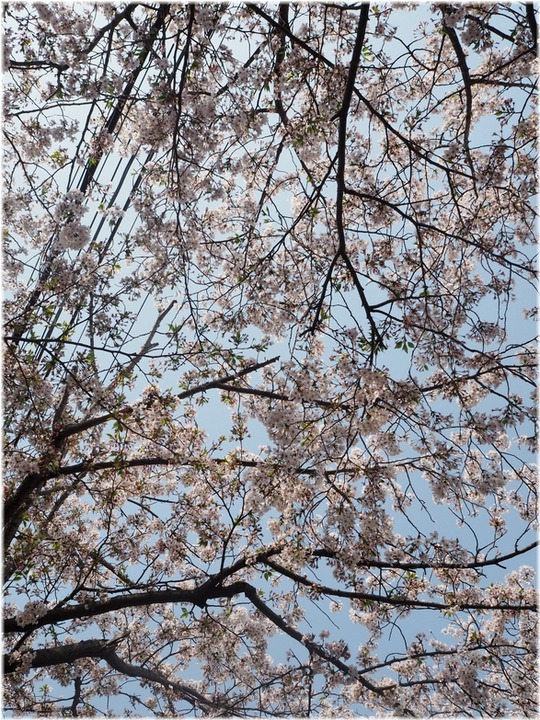 P1012457