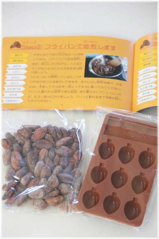 1aykogIMG_6196