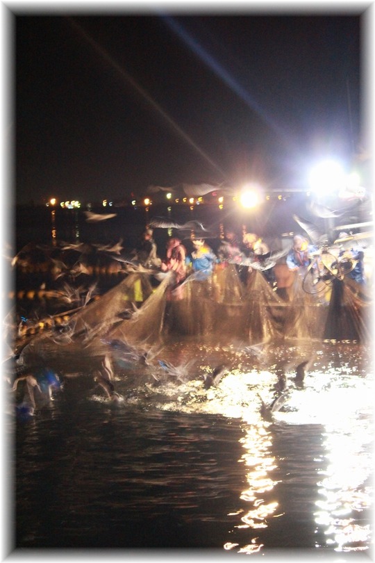 1aykogIMG_2460