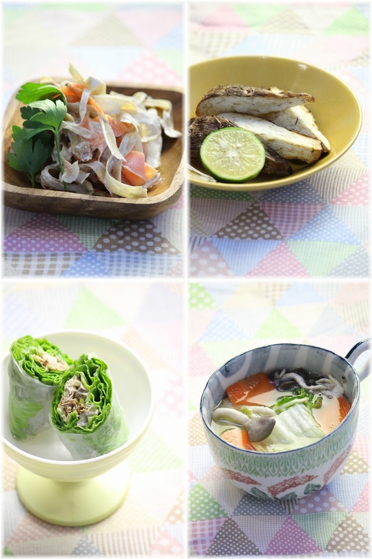 1aykogIMG_0758