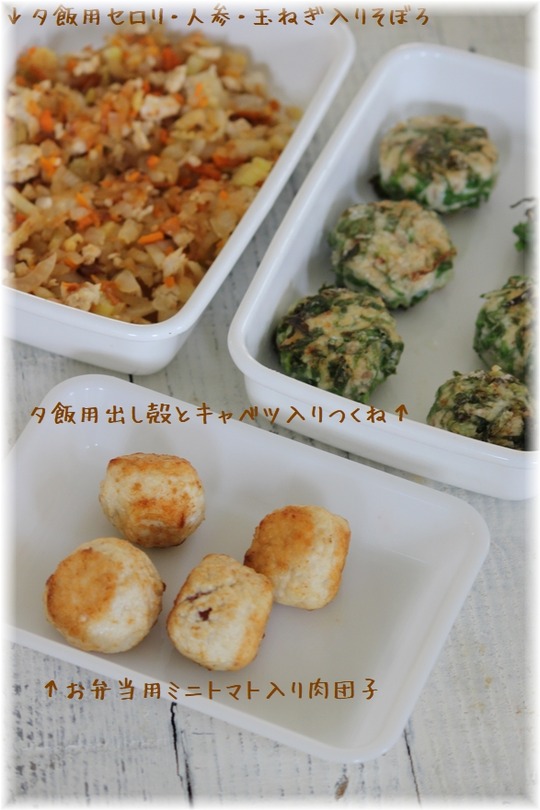 1aykogIMG_3401