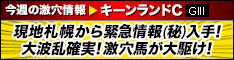 シンクタンク:キーンランドC234-60