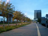 0c839361.JPG