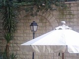 119dc002.JPG