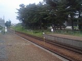 2283b784.JPG