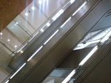 231c70a4.JPG