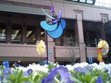 d1347582.JPG