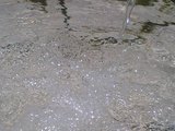 df12852d.JPG