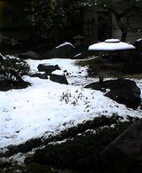 041231-155443.jpg