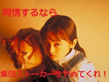 家なき子3