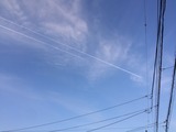 016