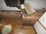 BlogPaint