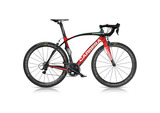 10 carrera phibra evo tricolor 1
