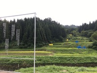 IMG_7797