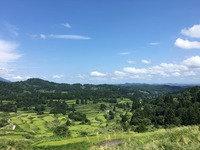 IMG_7794