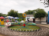 P8133388