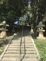 IMG_2047
