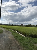 IMG_2040