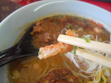 ebizo 008