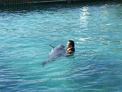 Isla Mujeres ¡ÊDolphin Adventure¡Ë 3