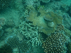 Cairns 5