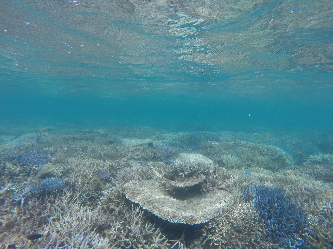 GOPR0430