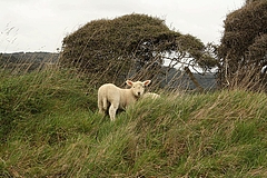 Slope Point 3