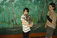 Currumbin Wildlife Sanctuary 10