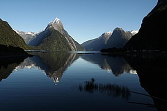 Milford Sounds 6