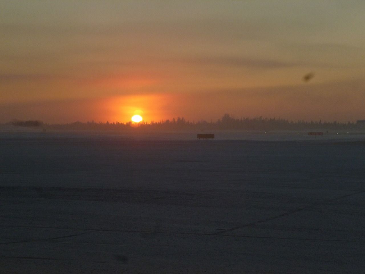 P1010639