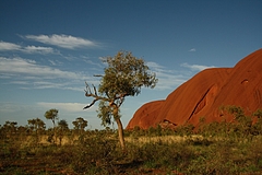 Ayers Rock 5