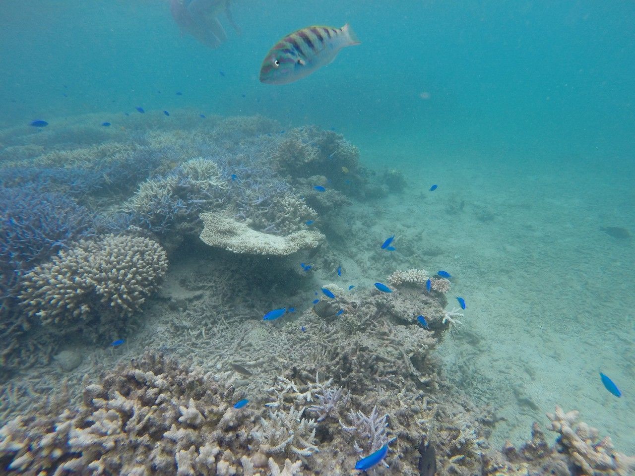 GOPR0417
