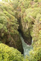 26 Jack's Blowhole 5